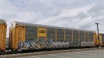 CSXT B12343 (Body) TTGX 987880 (Flat)